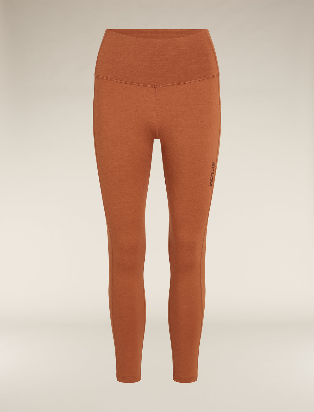 Women's Merino 260 Fastray 25" High Rise Tights Dusty clay - 6