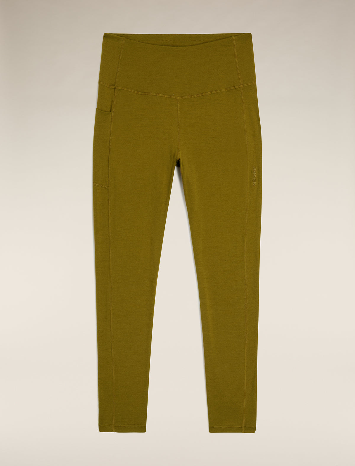 Women's Merino 260 Fastray 25" High Rise Tights Algae - 2