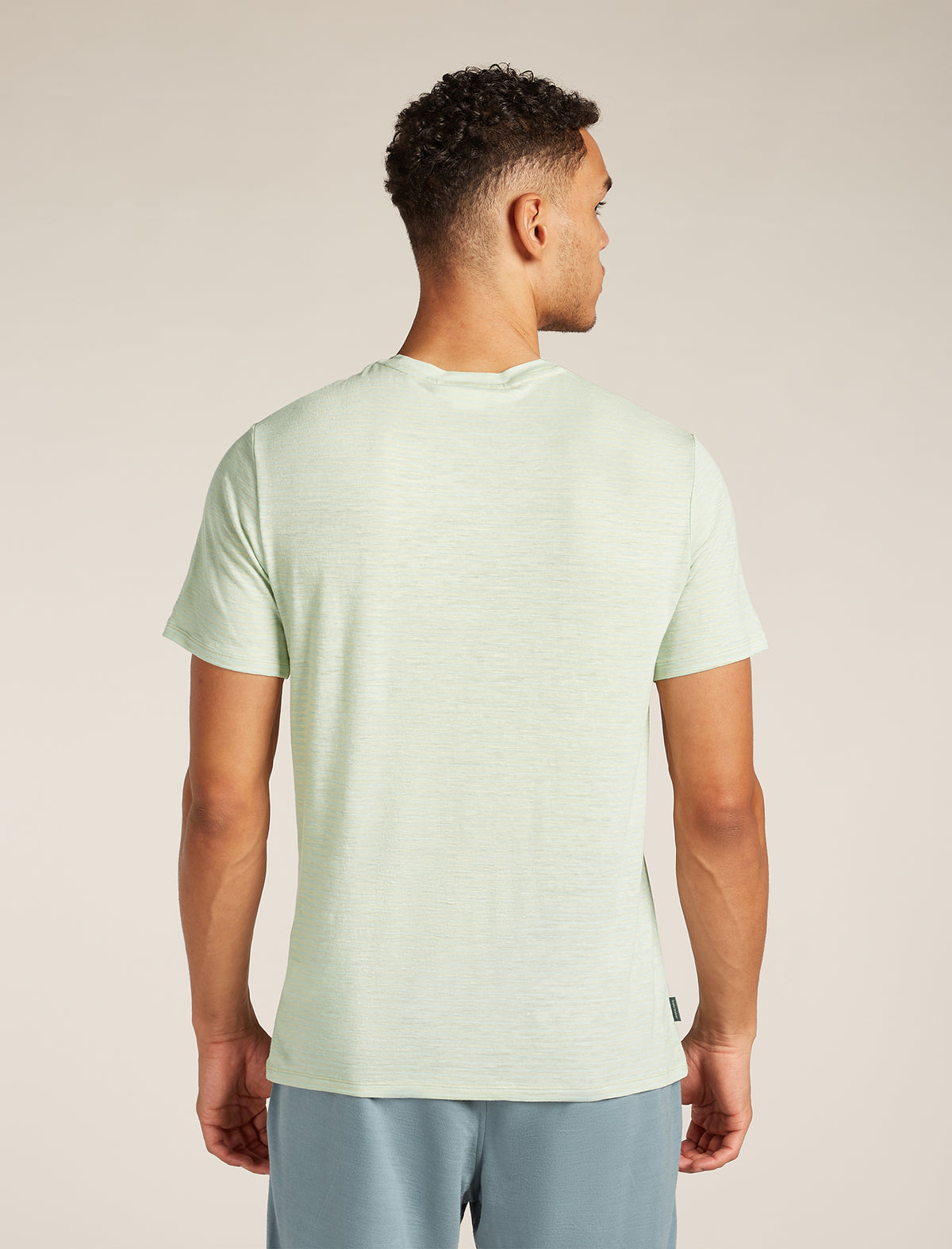 Men's Merino Linen T-Shirt Stripe Ashen/mint - 2