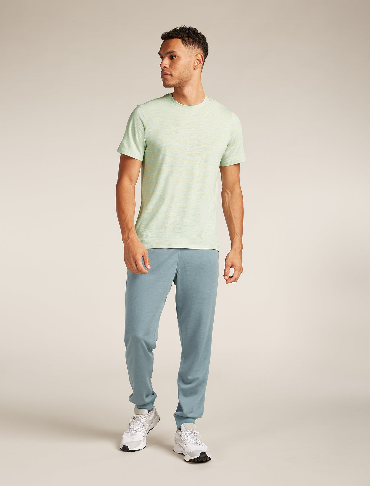 Men's Merino Linen T-Shirt Stripe Ashen/mint - 3