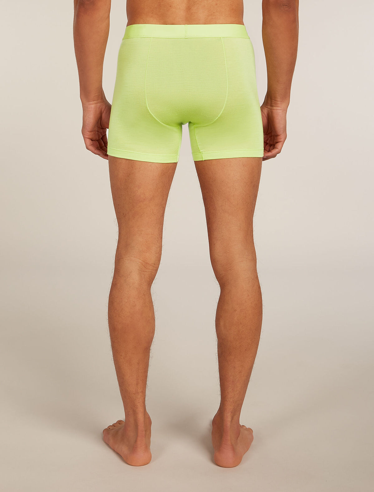 Boxeurs 125 Cool-Lite™ Anatomica en mélange de mérinos Men's Peridot - 2