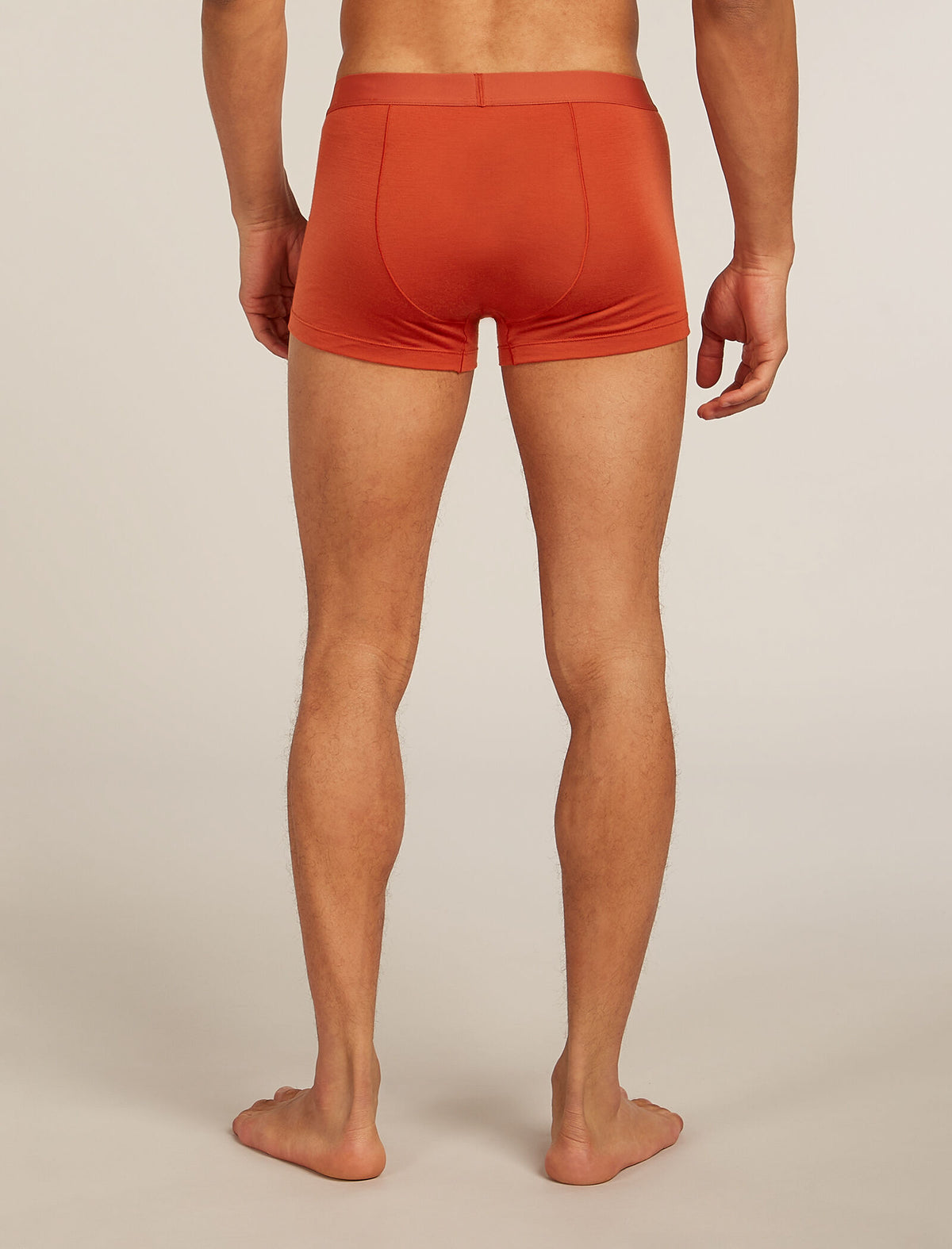 Caleçons 125 Cool-Lite™ Anatomica en mélange de mérinos Men's Agate - 2