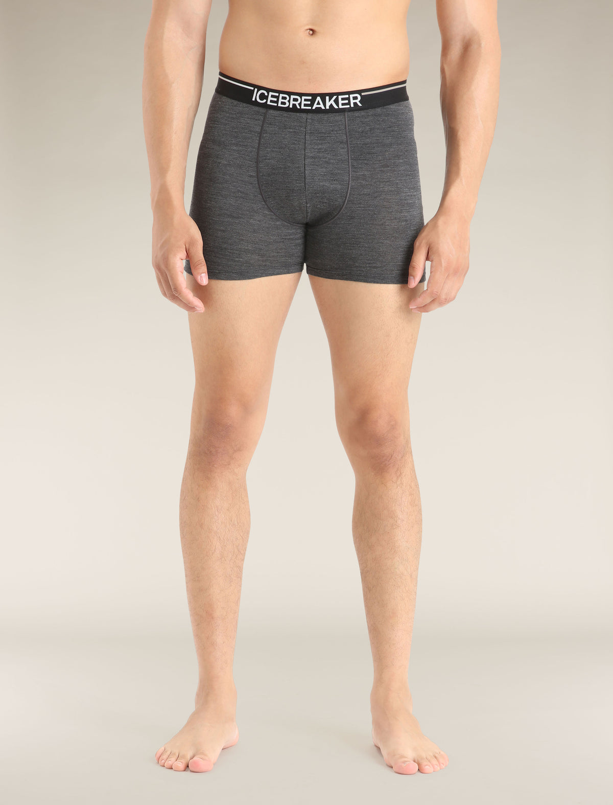 Men's Merino 150 Anatomica Boxers Jet Heather - 1