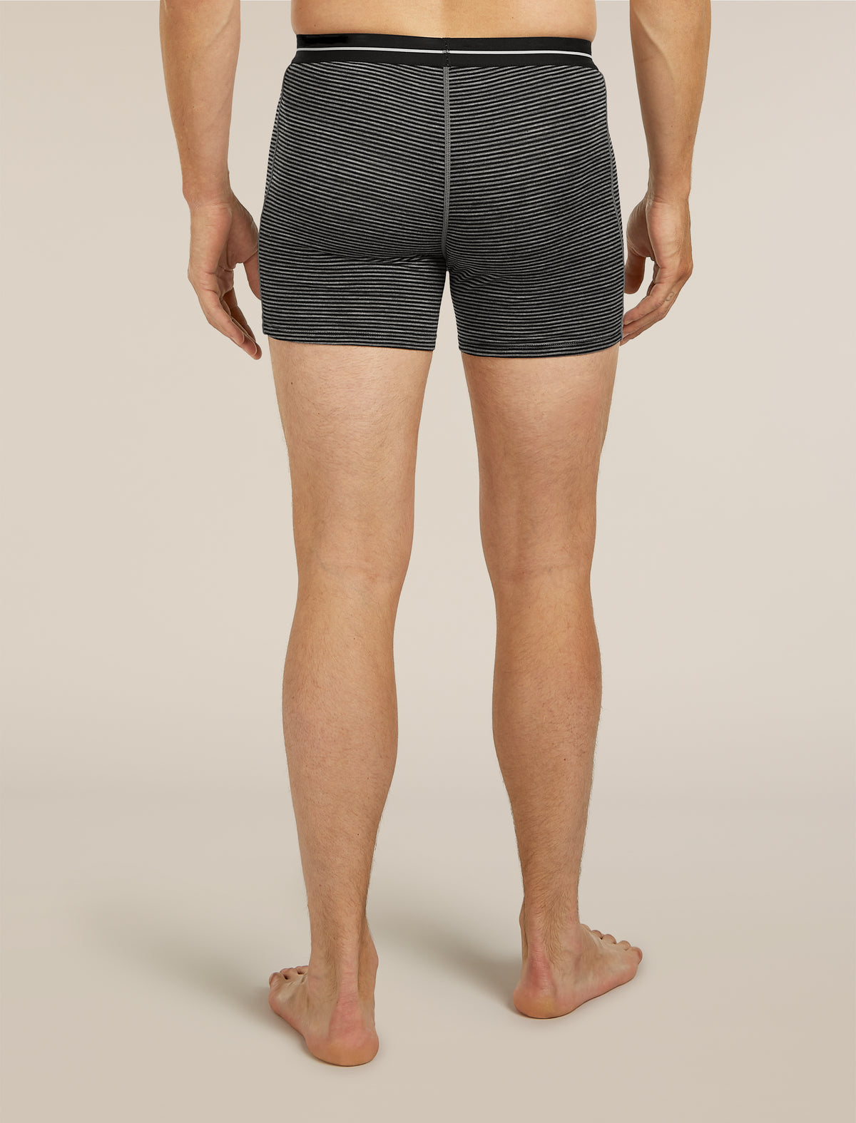 Men's Merino 150 Anatomica Boxers Gritstone Heather Stripe - 2